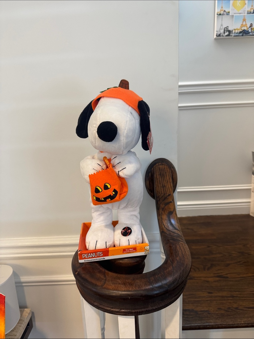 Peanuts Snoopy Plush with Orange Pumpkin Hat and Bag